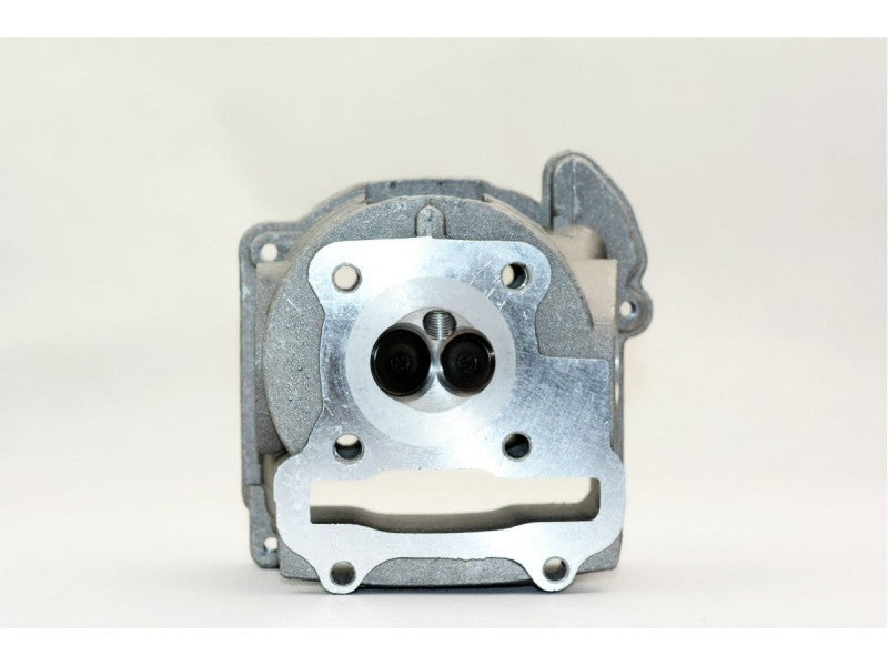 QMB139 39MM Cylinder Engine Kit with 64mm Non-EGR Head