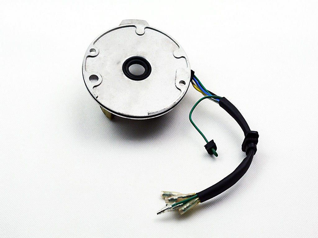 2-Coil Magneto Stator for 70 cc 90CC 110 cc 125cc Kick Start Dirt Pit Bike SSR Coolster Roketa - ChinesePartsPro