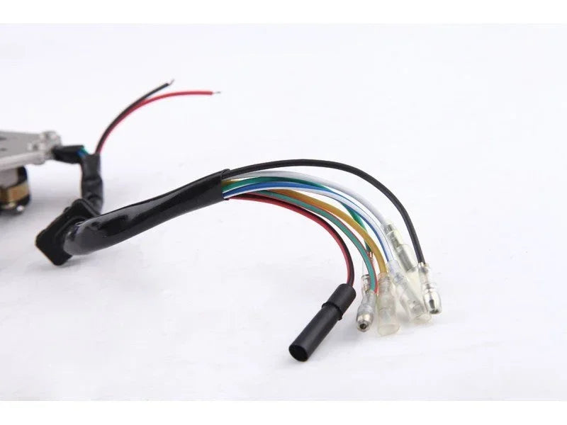 2-coil magneto stator for 50cc to 125cc dirt bikes, ATVs, and go-karts, in black with wiring and mounting holes visible.