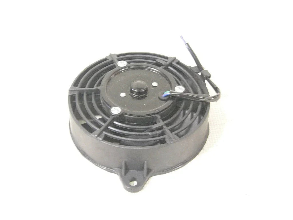 Black oscillating fan from vendor-unknown with adjustable height and rotating blades for cooling and air circulation.