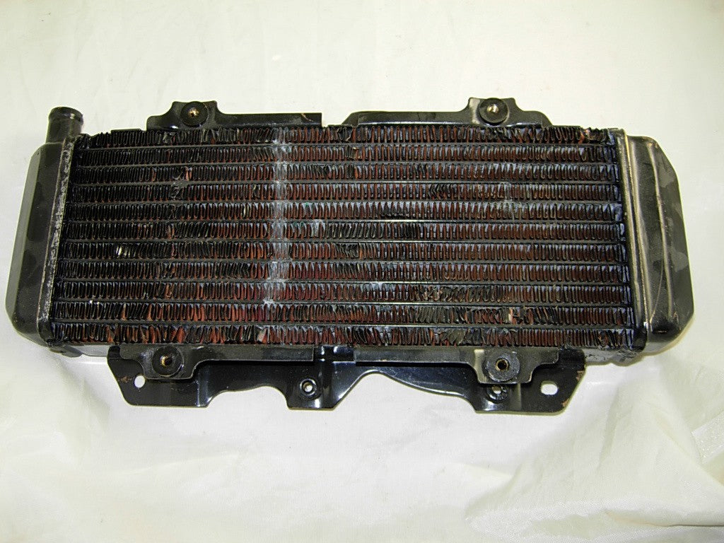 Radiator cf250 250cc - ChinesePartsPro