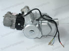 110cc Auto Gear Engine-sanxing - ChinesePartsPro