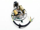 2-coil magneto stator with wiring for 70cc 90cc 110cc 125cc dirt pit bike on white background