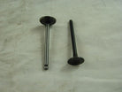Dirt bike intake and exhaust valves for 70cc, 90cc, 110cc engines by ChinesePartsUSA, shown with metal valve components.